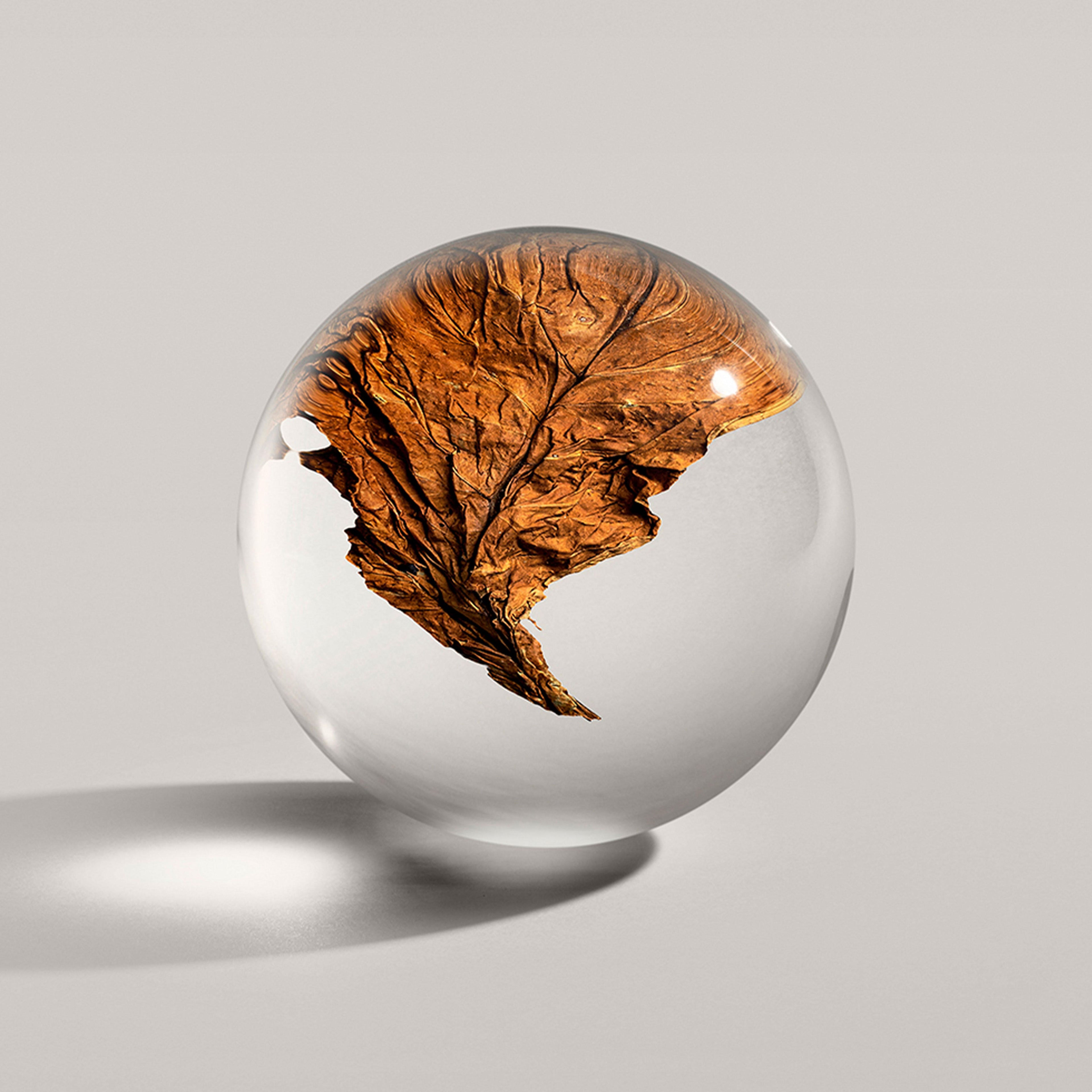 Tobacco Absolute Bath & Shower Gel 300ml