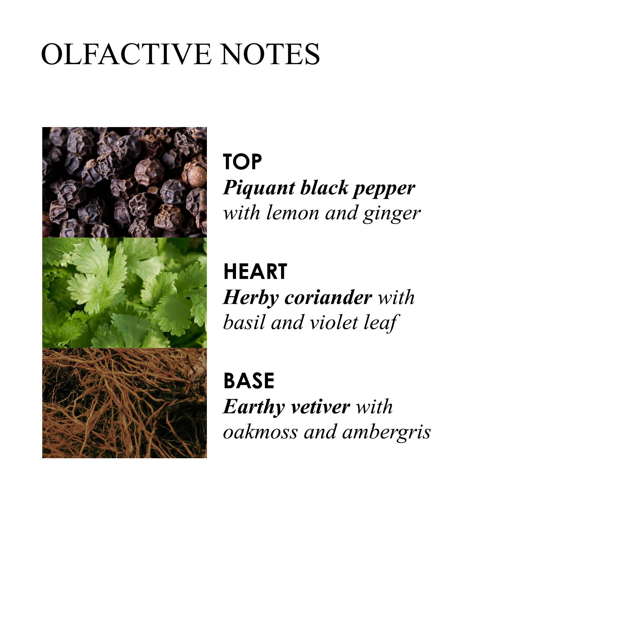 Re-charge Black Pepper Aroma Reeds Refill 150ml