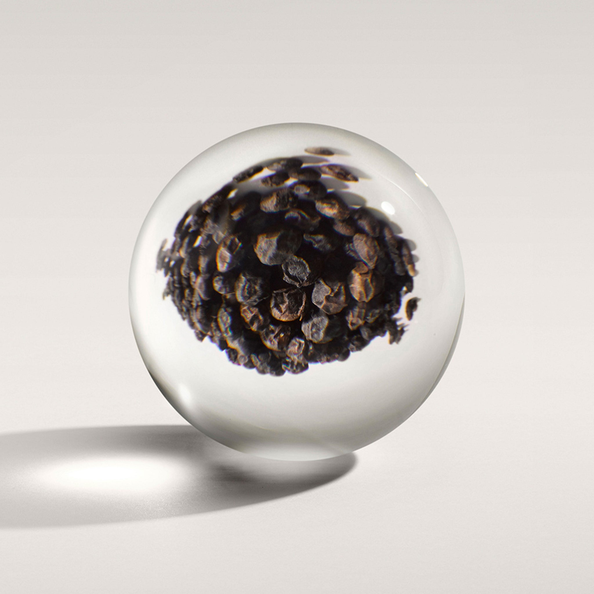 Re-charge Black Pepper Aroma Reeds Refill 150ml