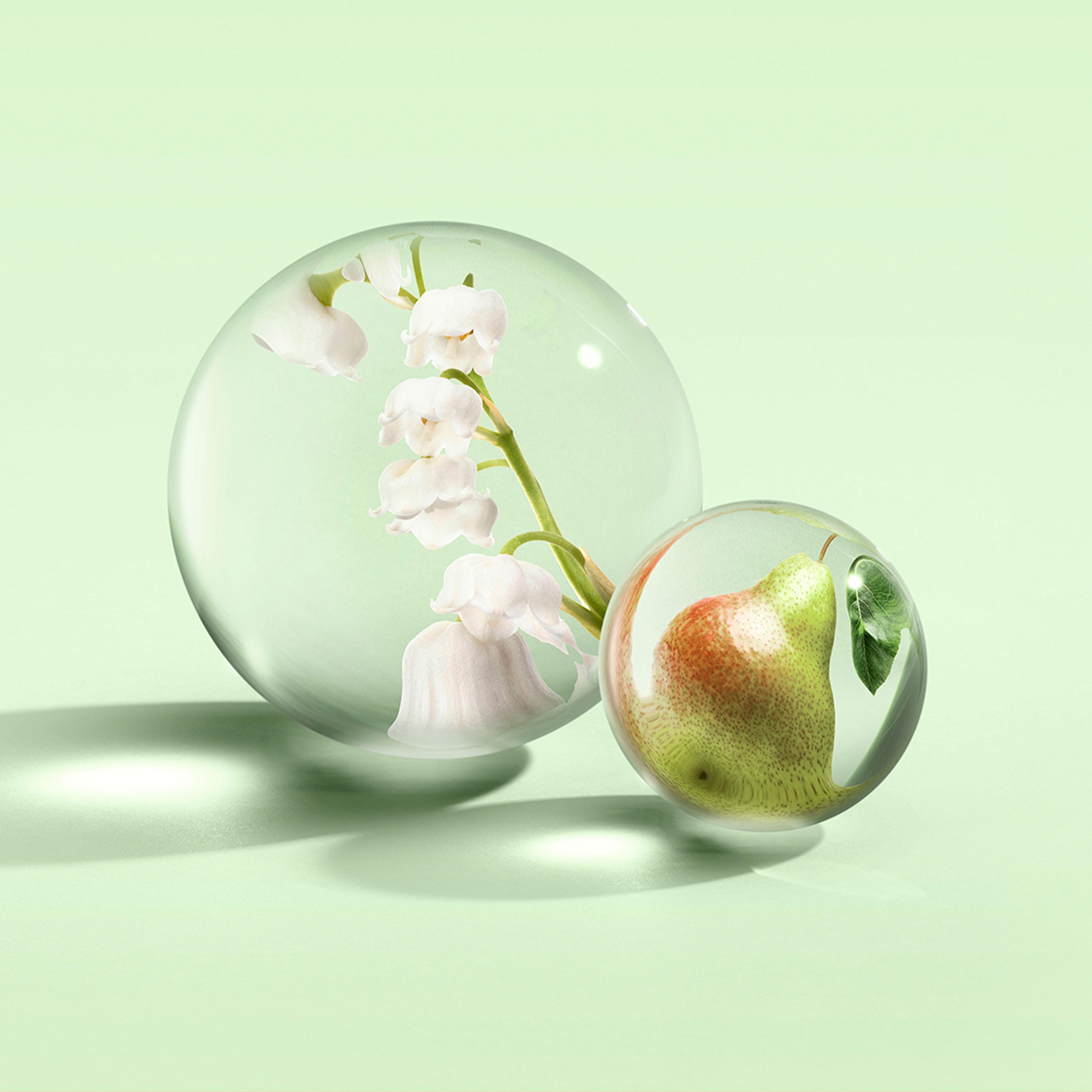 Lily & Magnolia Perfume